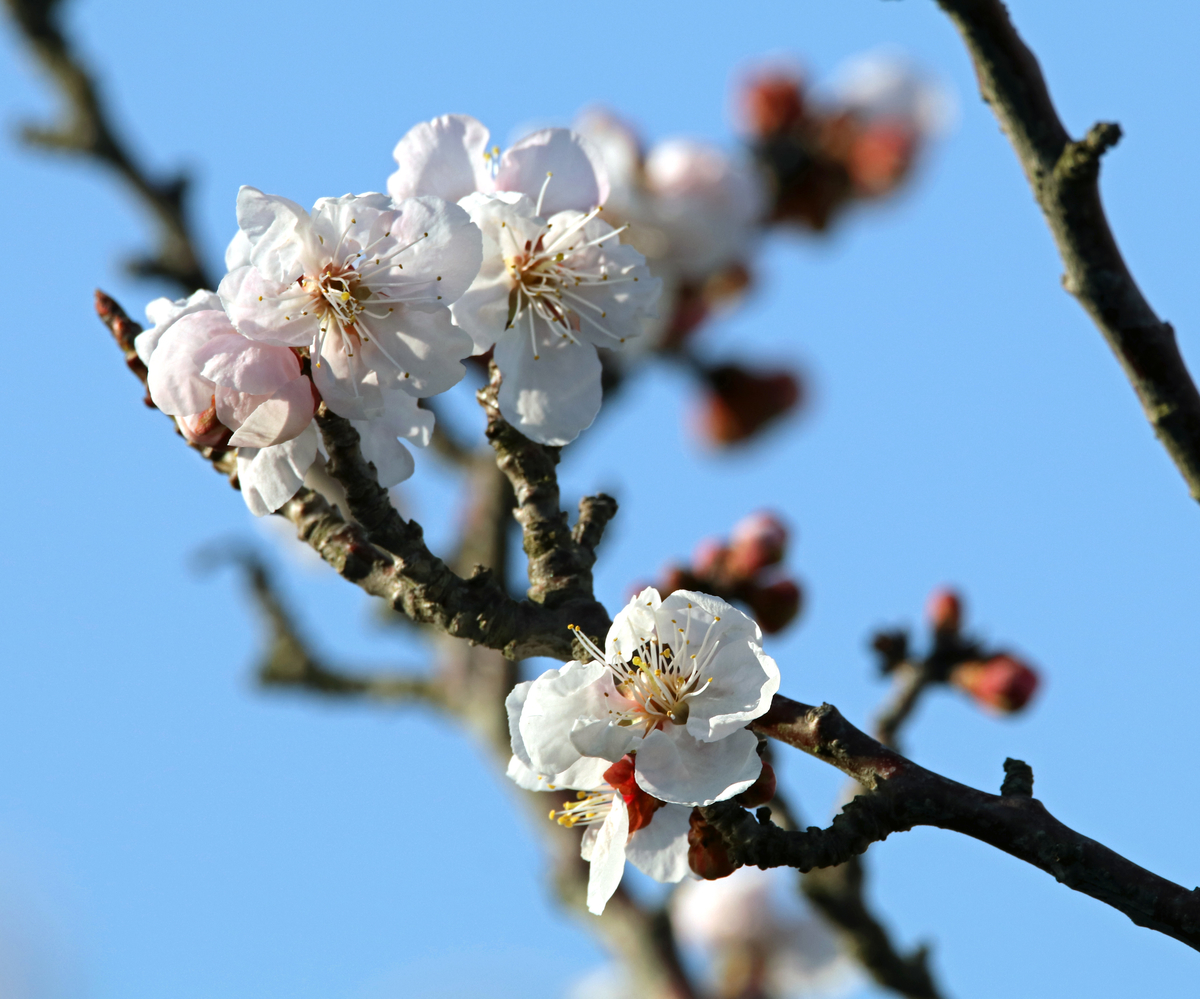 f:id:isourounomitu:20190509103603j:plain