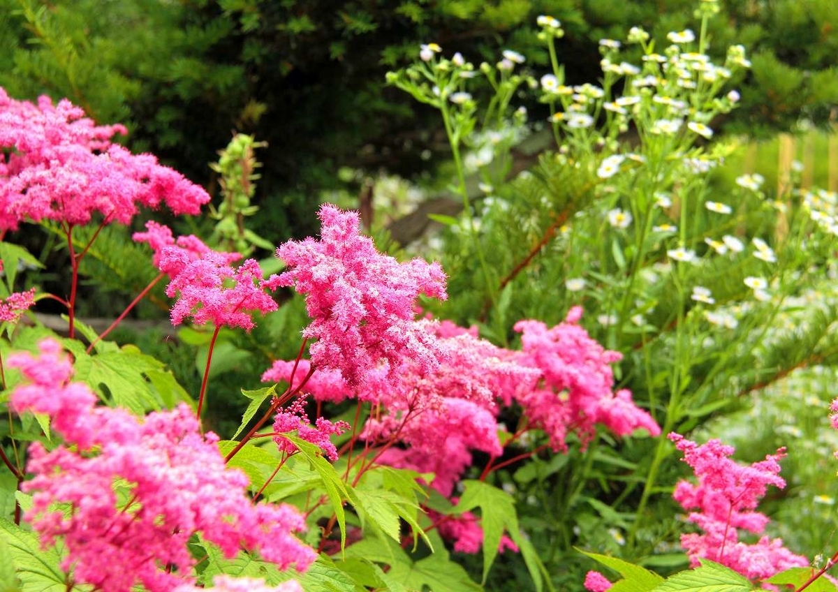 f:id:isourounomitu:20190819235701j:plain f:id:isourounomitu:20190819235701j:plain