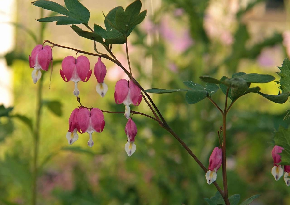 f:id:isourounomitu:20190820000948j:plain f:id:isourounomitu:20190820000948j:plain