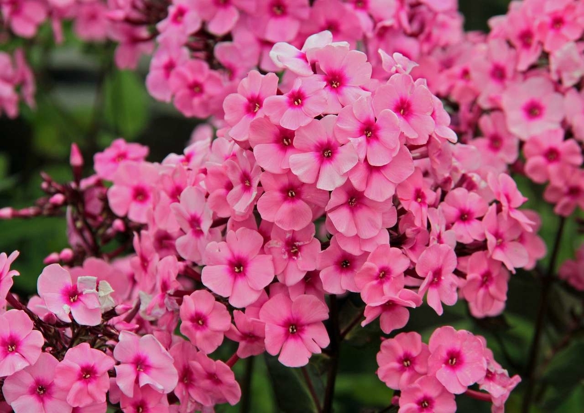 f:id:isourounomitu:20190820001848j:plain f:id:isourounomitu:20190820001848j:plain