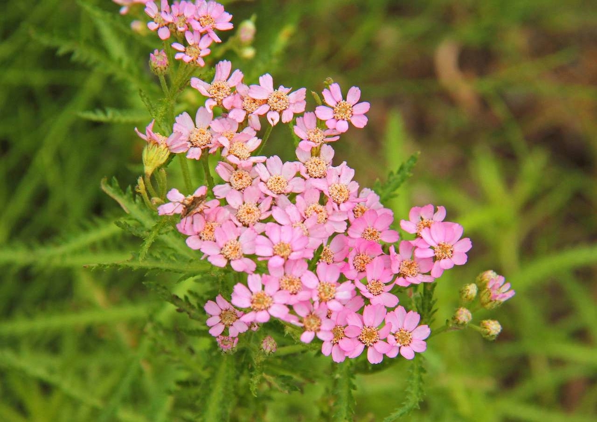 f:id:isourounomitu:20190820001939j:plain f:id:isourounomitu:20190820001939j:plain