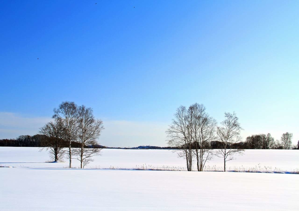f:id:isourounomitu:20200214014101j:plain f:id:isourounomitu:20200214014101j:plain