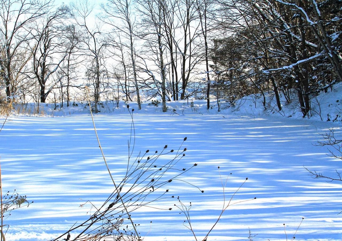 f:id:isourounomitu:20200214014836j:plain f:id:isourounomitu:20200214014836j:plain