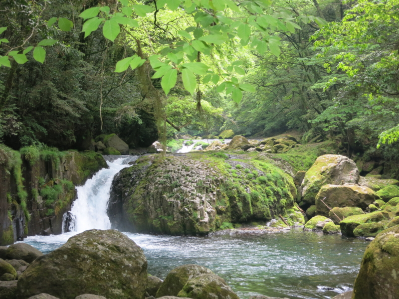 f:id:isoyant:20150517112217j:image:w640 f:id:isoyant:20150517112217j:image:w640