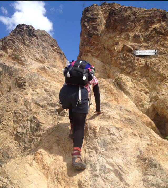 f:id:isoyo:20190906215326p:plain