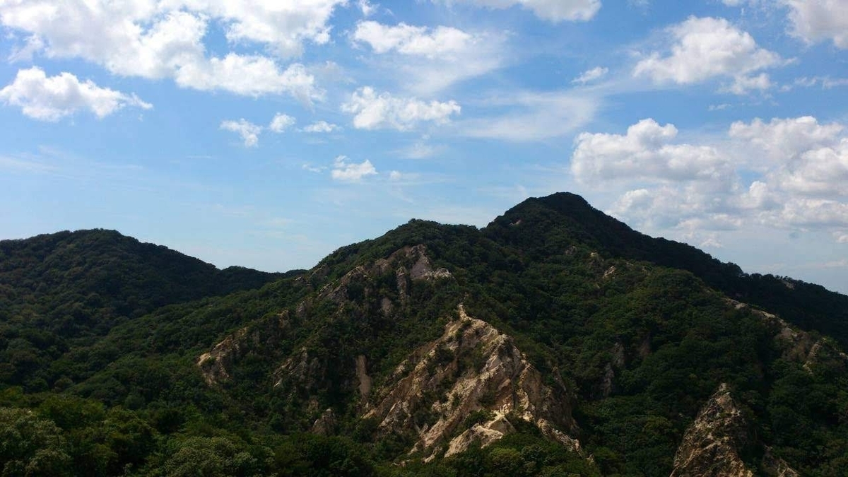 f:id:isoyo:20190906215723j:plain