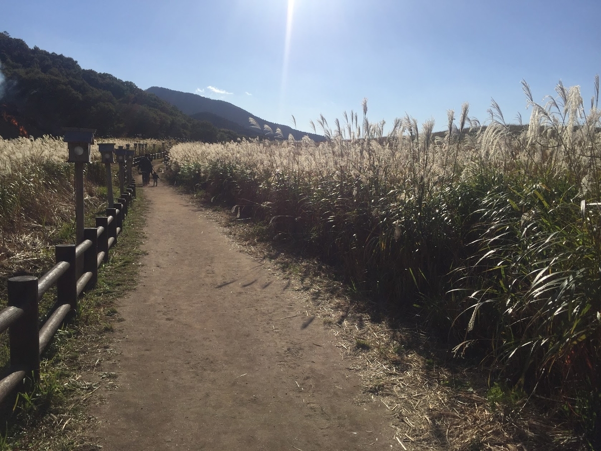 f:id:isoyo:20191022003419j:plain