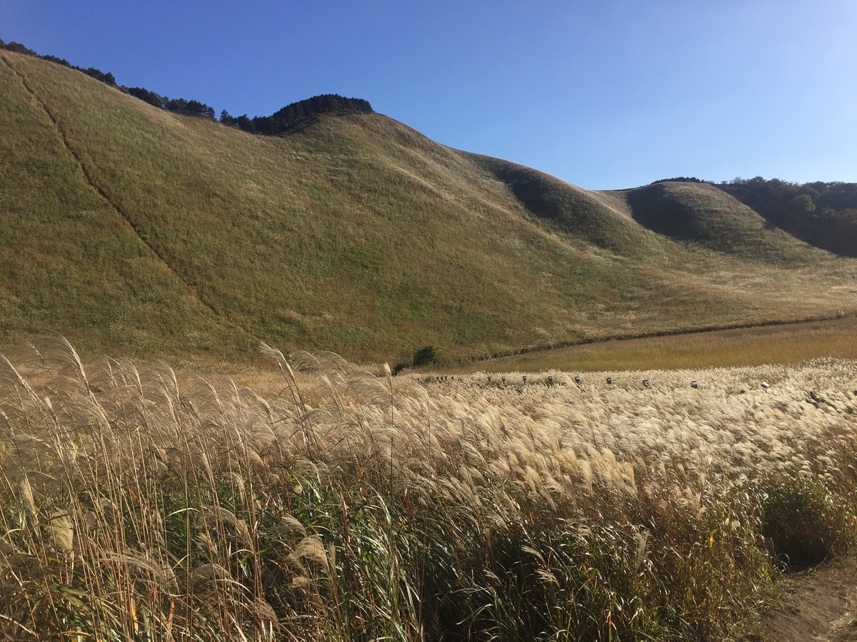 f:id:isoyo:20191022003448j:plain