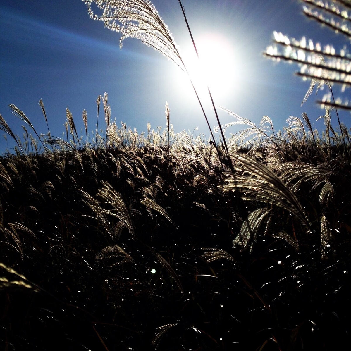 f:id:isoyo:20191022103144j:plain