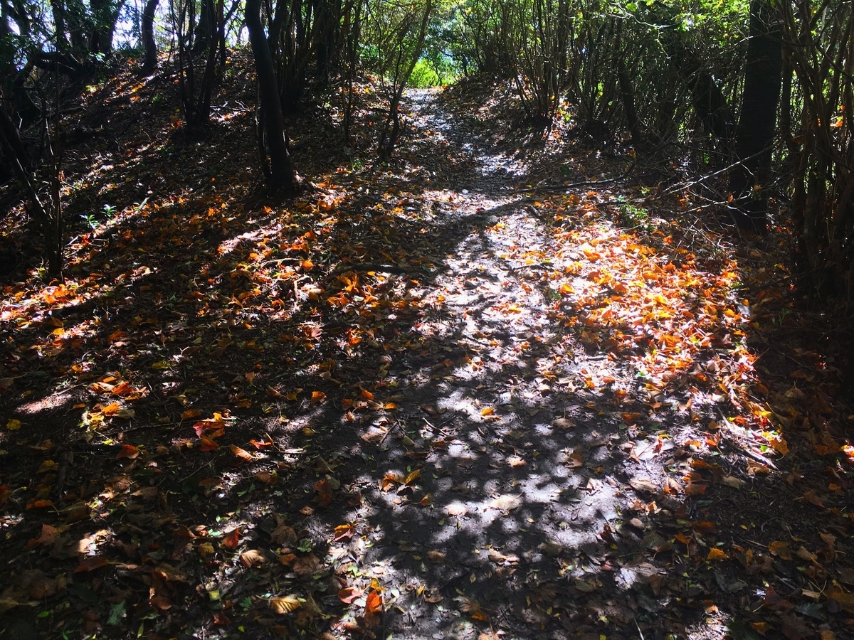 f:id:isoyo:20191022113225j:plain