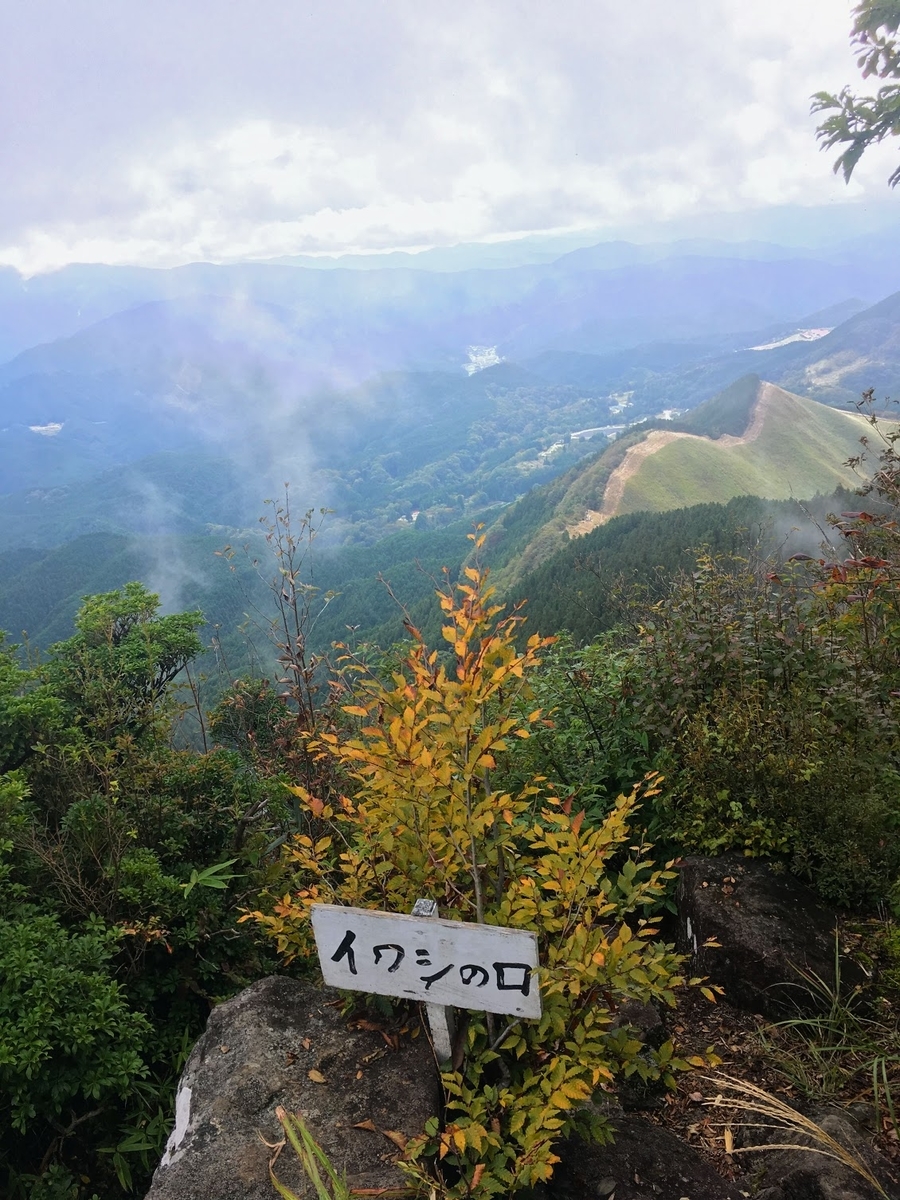 f:id:isoyo:20191022115357j:plain