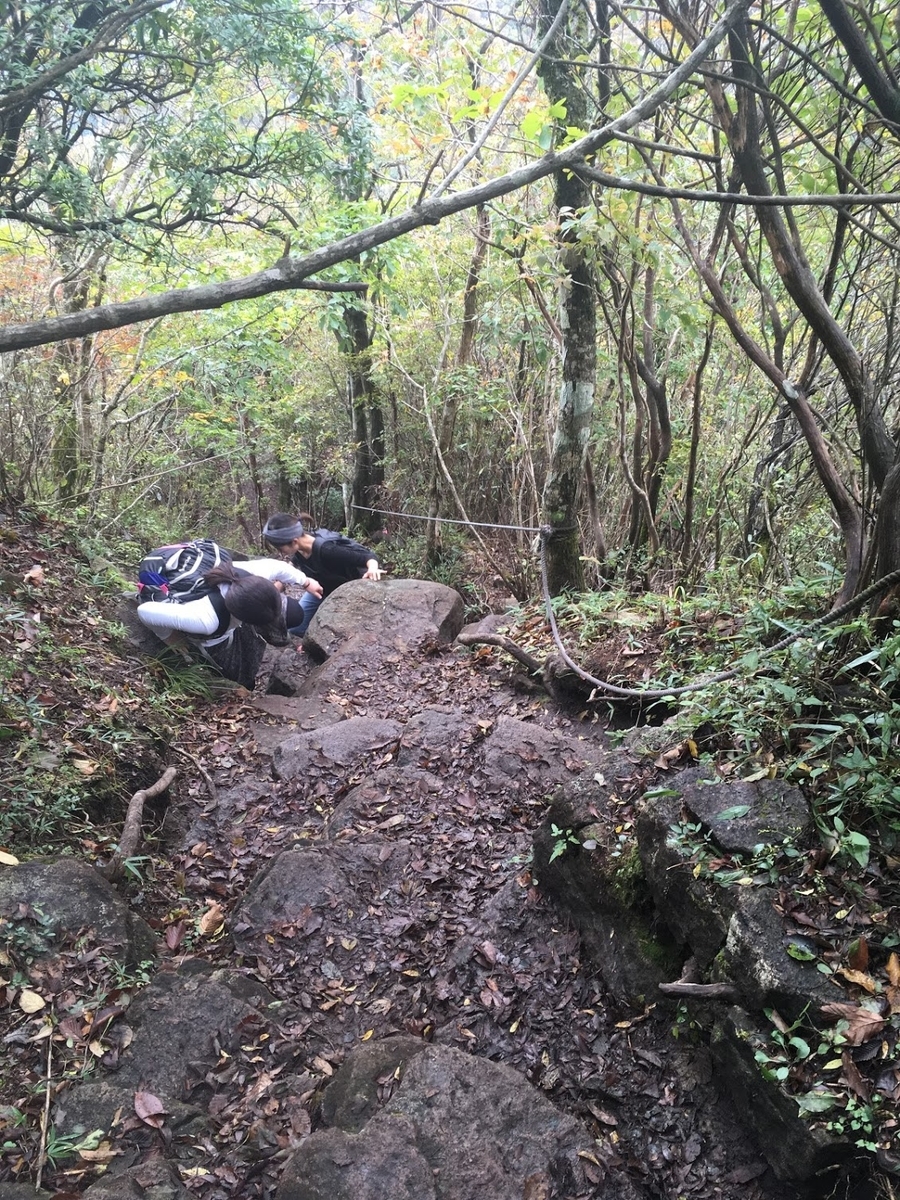 f:id:isoyo:20191022115721j:plain