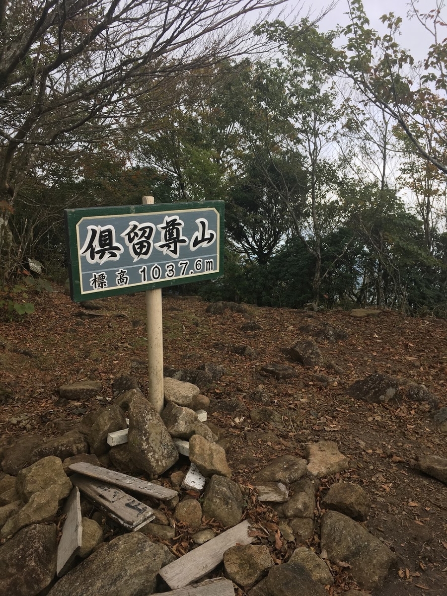 f:id:isoyo:20191022115838j:plain