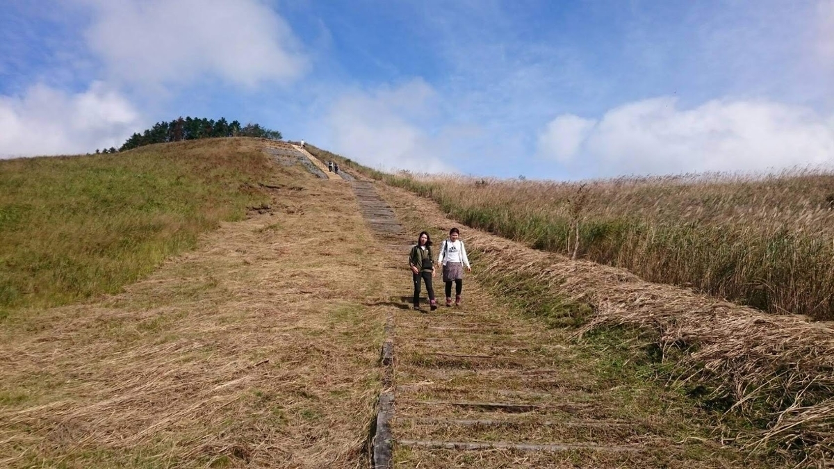 f:id:isoyo:20191022122915j:plain