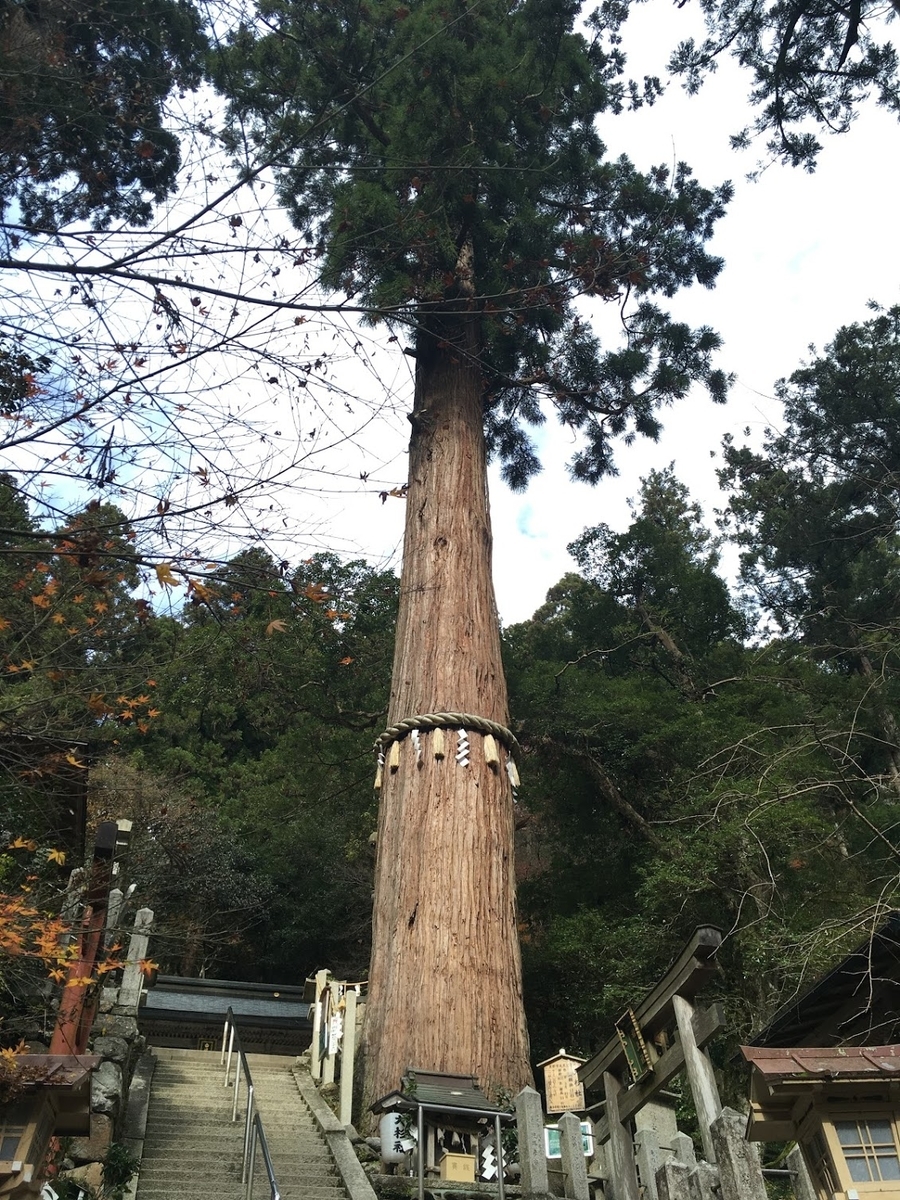 f:id:isoyo:20191218140334j:plain