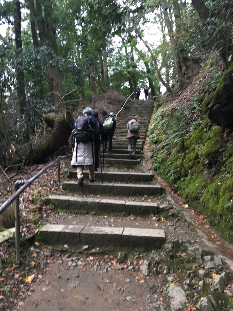 f:id:isoyo:20191222173926j:plain