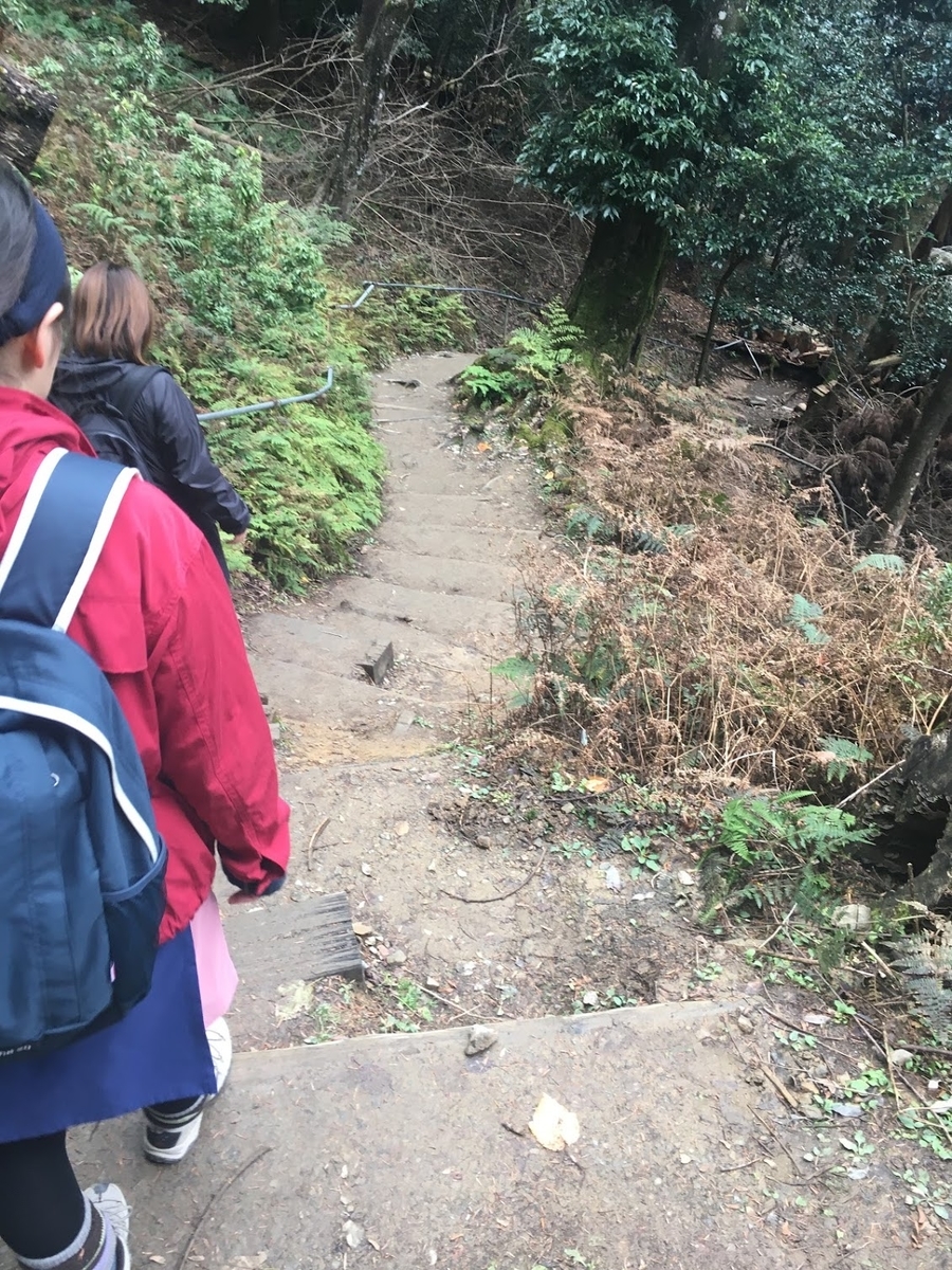 f:id:isoyo:20191222193425j:plain