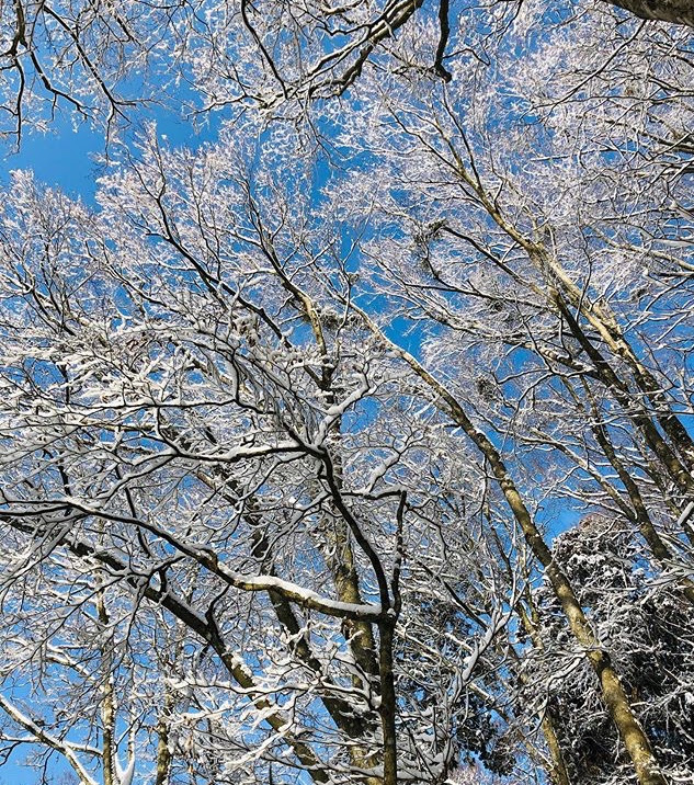 f:id:isoyo:20200129141252j:plain