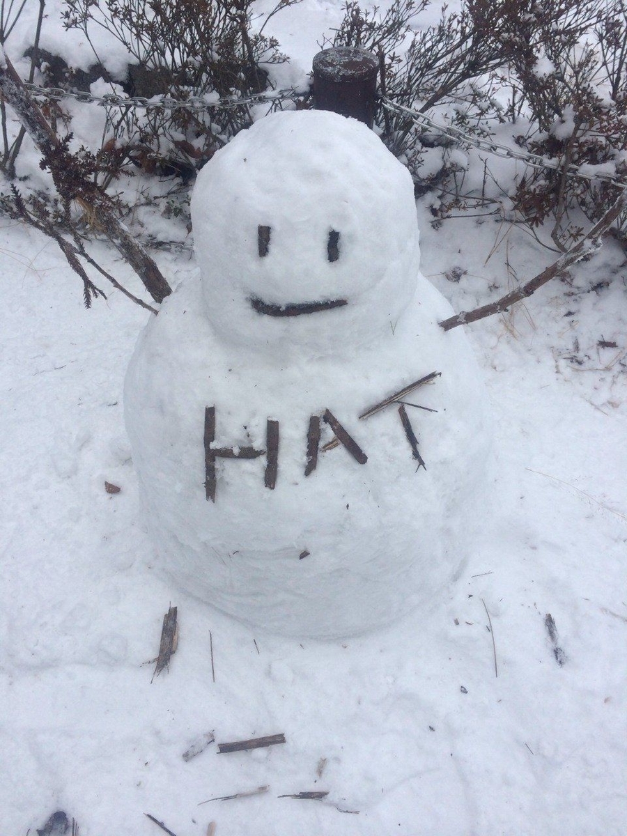 f:id:isoyo:20200129144719j:plain