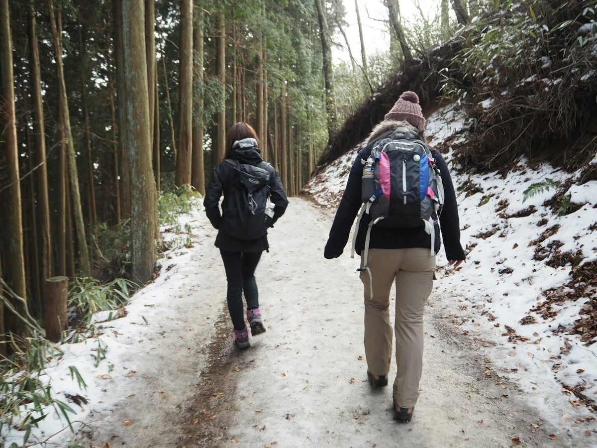 f:id:isoyo:20200129145557j:plain