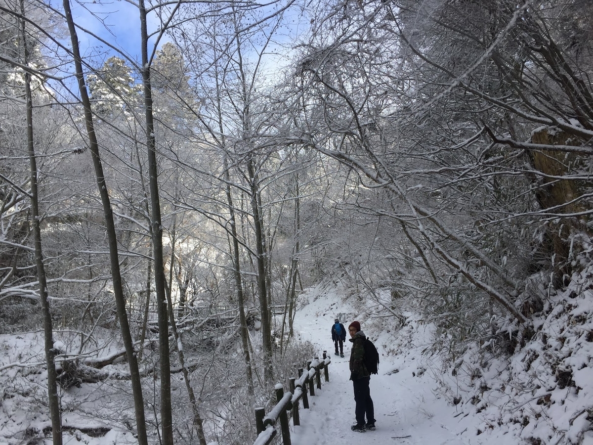 f:id:isoyo:20200129145619j:plain