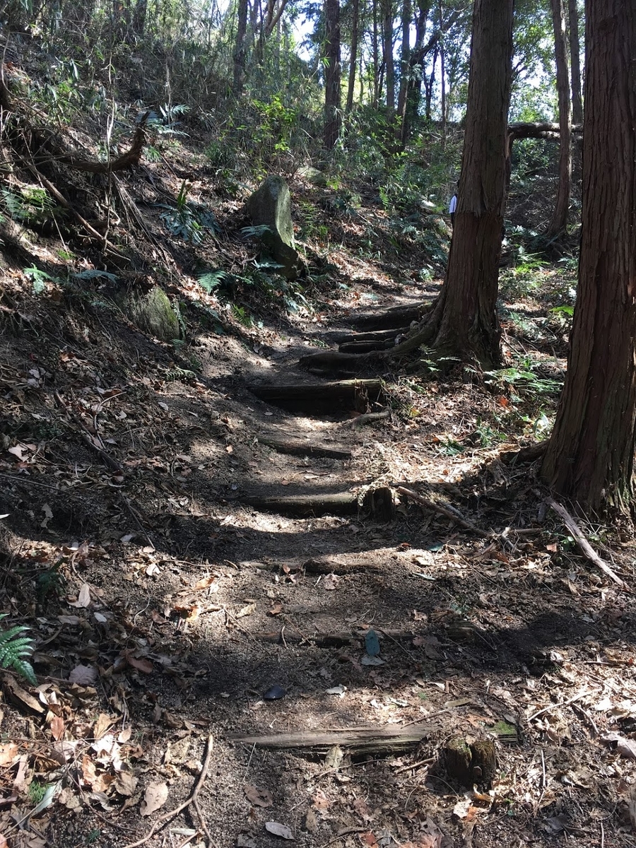 f:id:isoyo:20200301181107j:plain