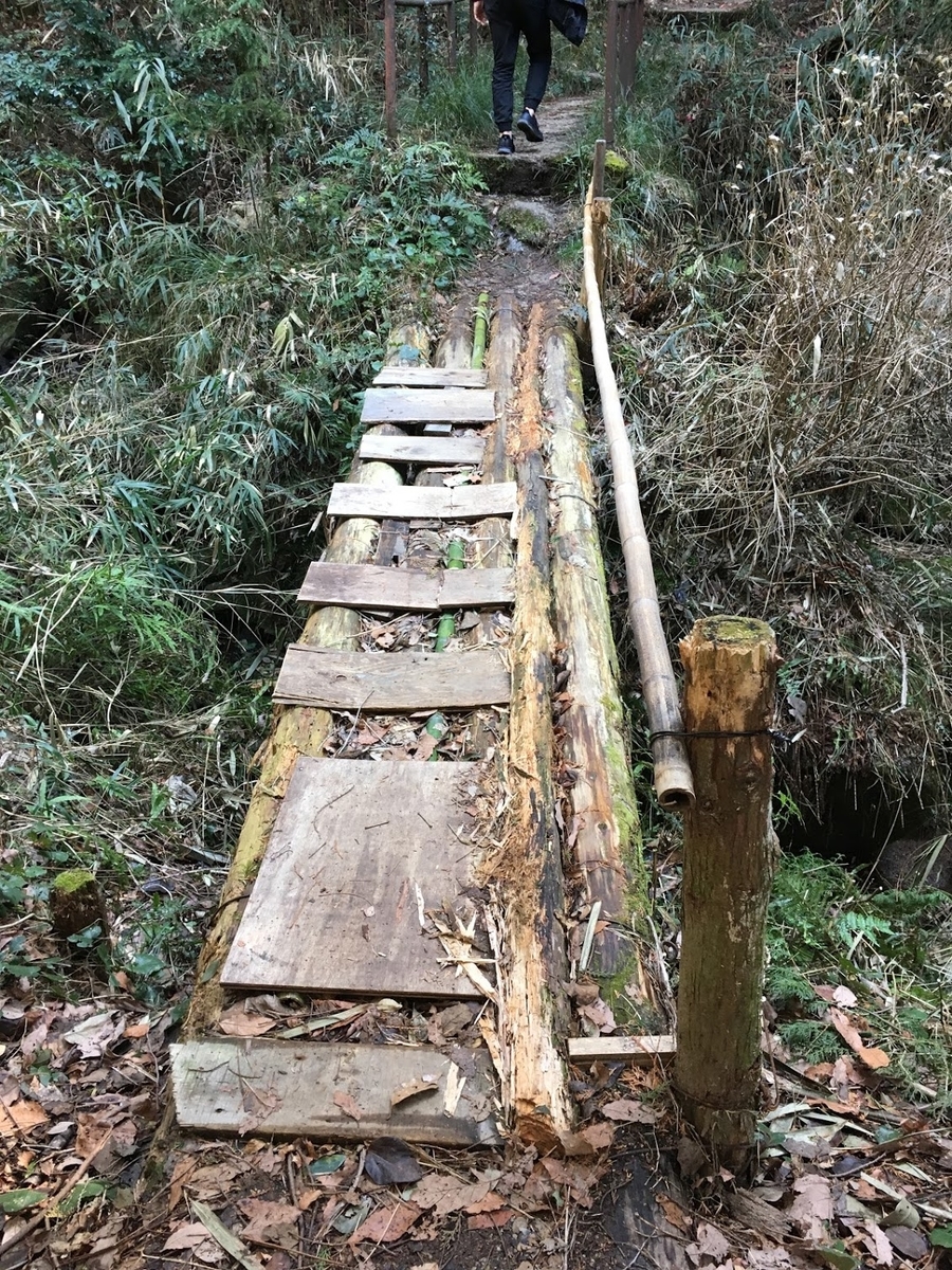 f:id:isoyo:20200301181415j:plain