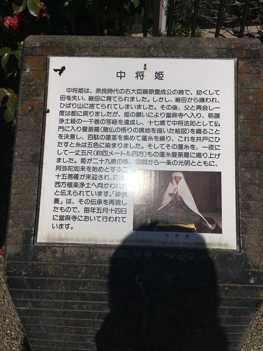 f:id:isoyo:20200321173111j:plain f:id:isoyo:20200321173111j:plain