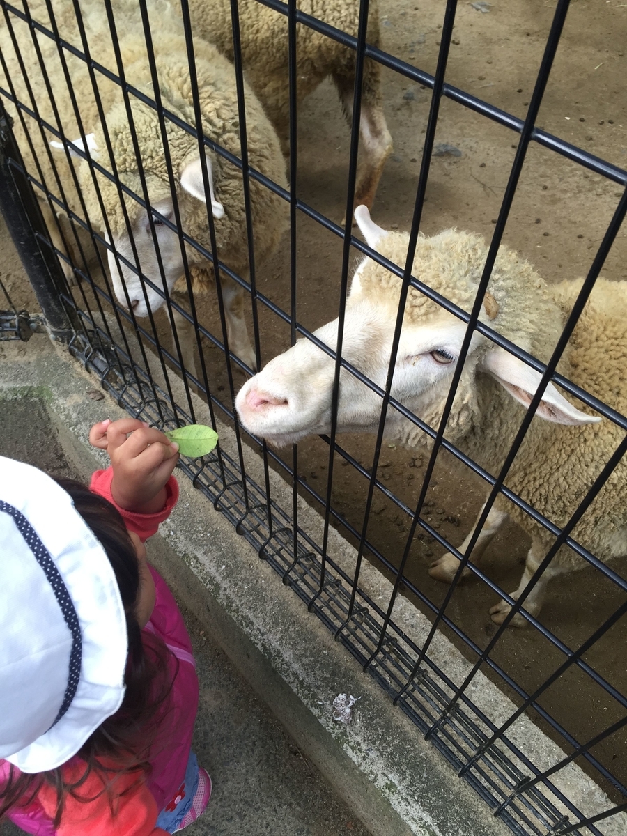 f:id:isoyo:20200527131042j:plain f:id:isoyo:20200527131042j:plain