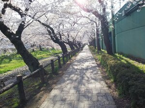 DSC_0005_HORIZON.JPG