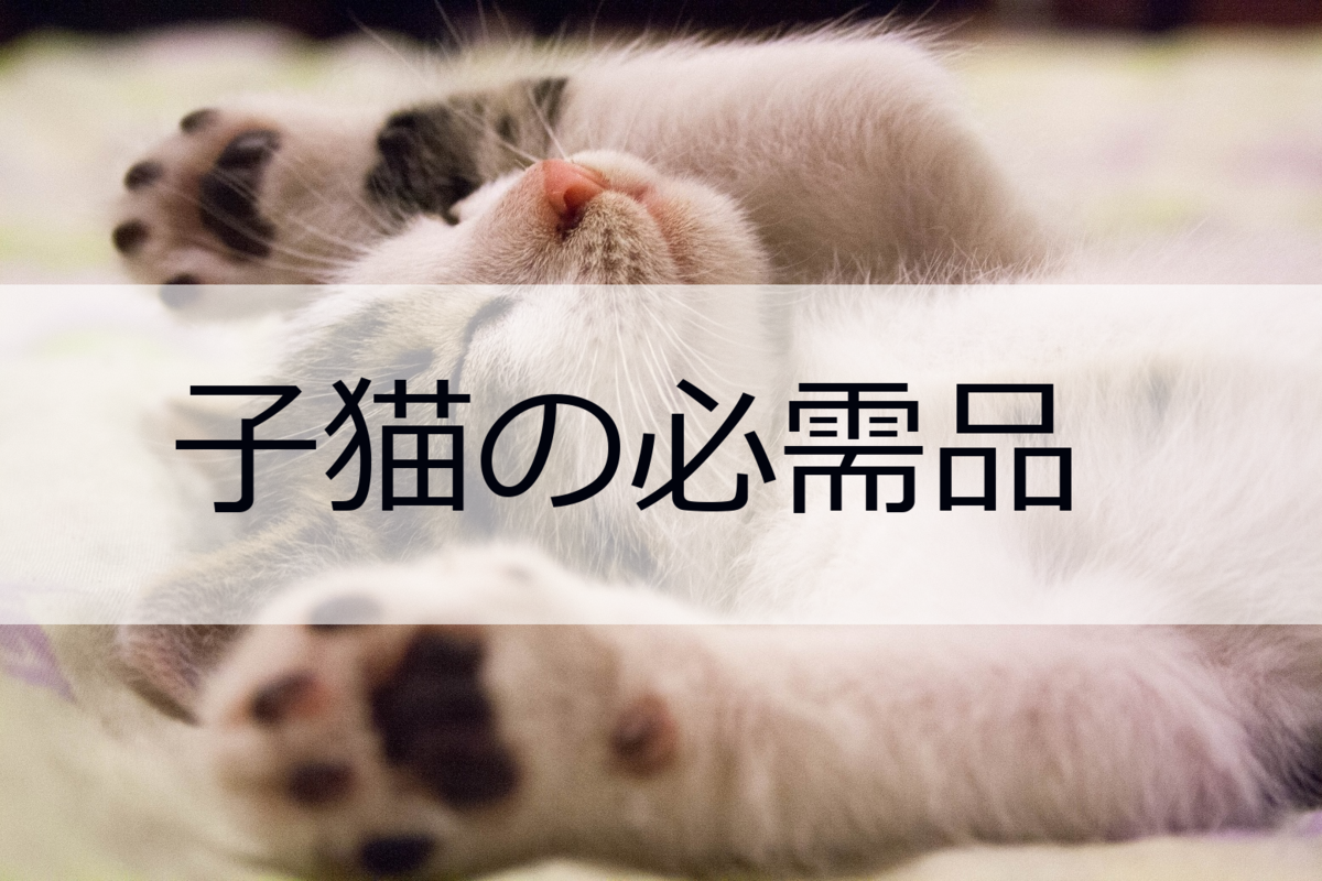 初心者必読 猫を飼うときの必需品 初心者からのペットの飼い方ナビ ペトナビ