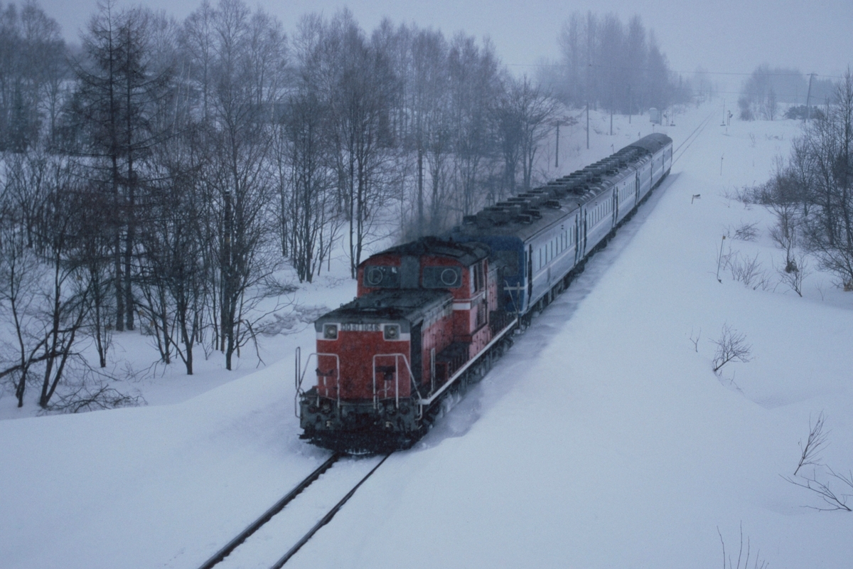 ブラックチェリー様専用 愛称板 急行 天北 宗谷 道北の急行列車 14-4（
