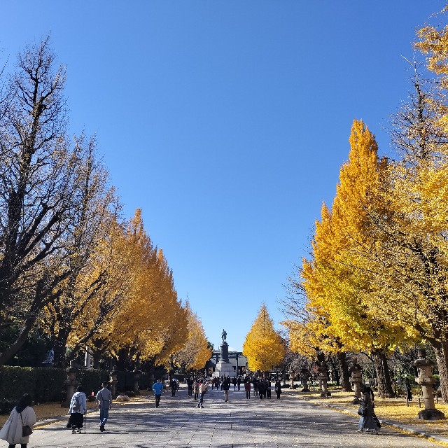 f:id:issyodaradara:20241210203616j:image