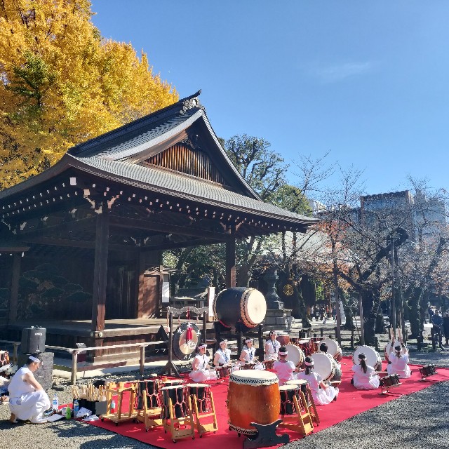 f:id:issyodaradara:20241210204045j:image