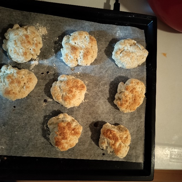 f:id:issyodaradara:20250317122236j:image