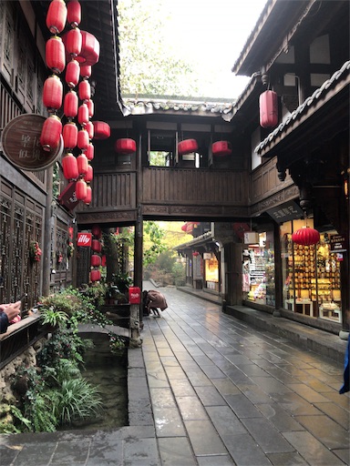 f:id:issyokunyukon:20190520232100j:image f:id:issyokunyukon:20190520232100j:image