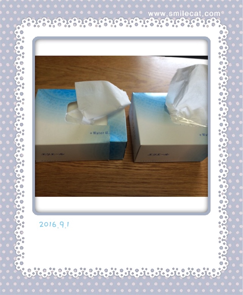 f:id:istj-t:20160901130937j:image