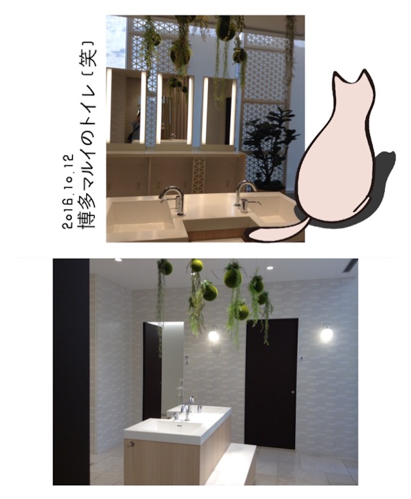 f:id:istj-t:20161014161203j:image f:id:istj-t:20161014161203j:image