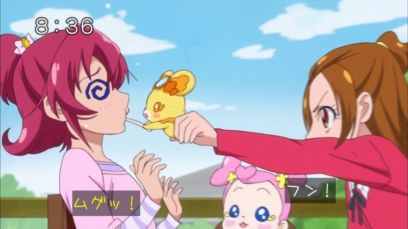 ドキドキ！プリキュア 37話