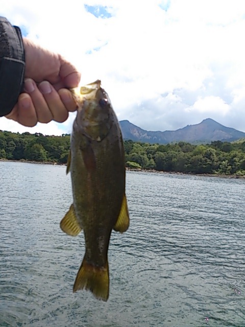イメージ 1