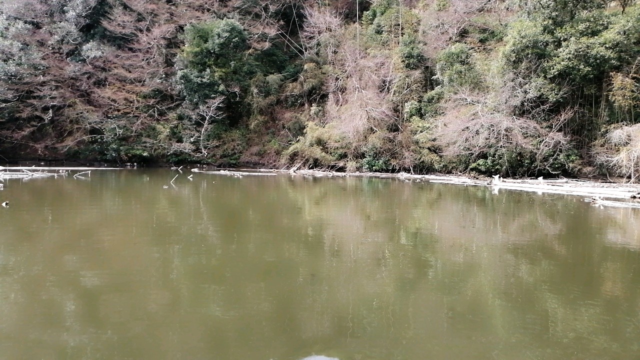 イメージ 2