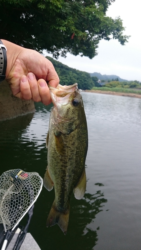 イメージ 4