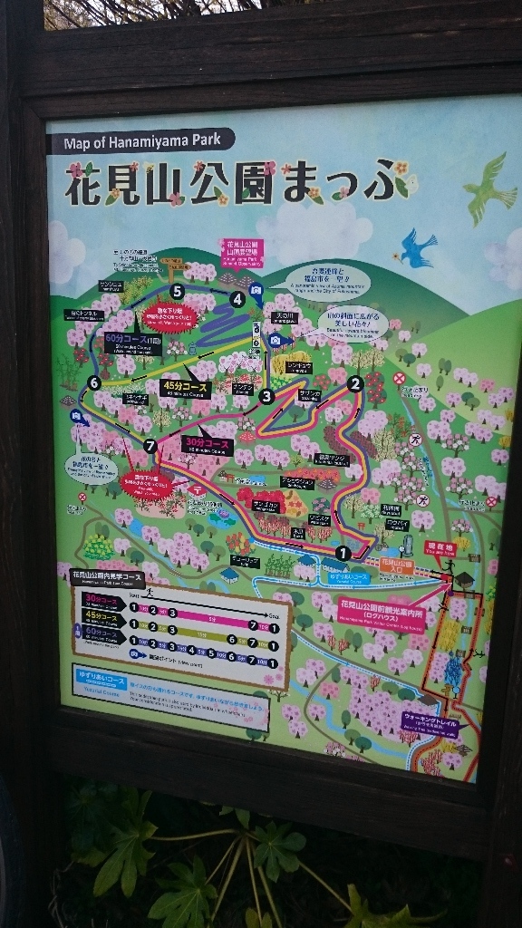 イメージ 3
