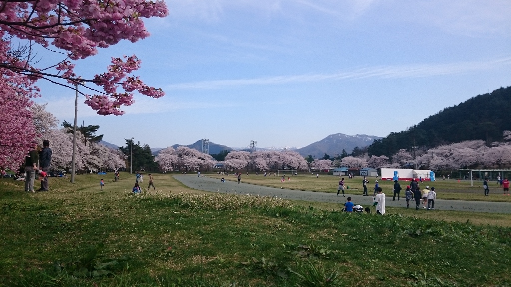 イメージ 5