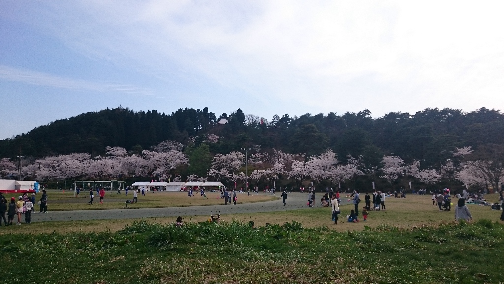 イメージ 6