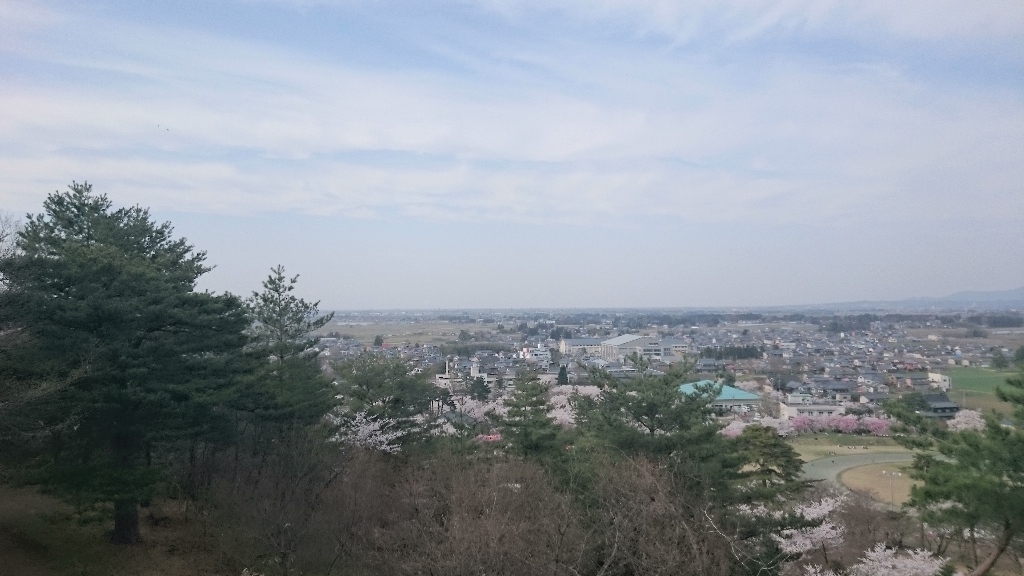 イメージ 7