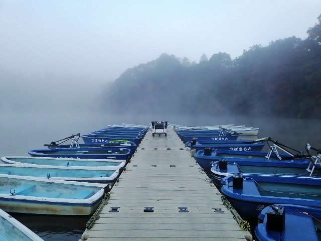 f:id:isybuss:20191208093638j:image