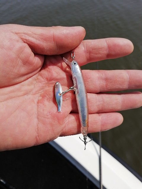 f:id:isybuss:20200403163552j:image