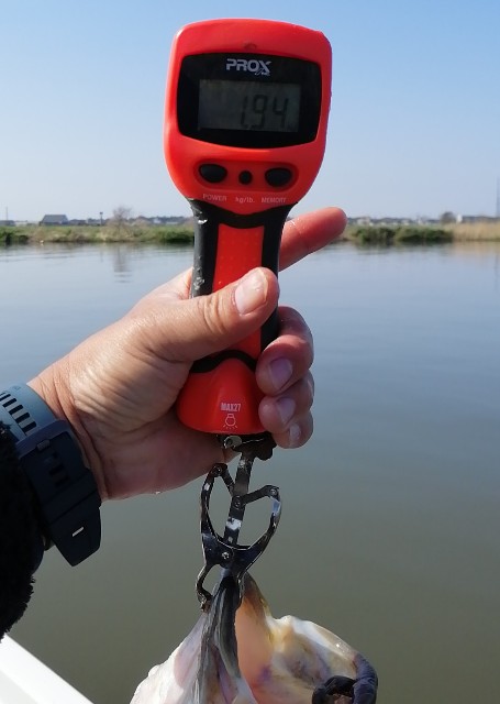 f:id:isybuss:20200404092956j:image