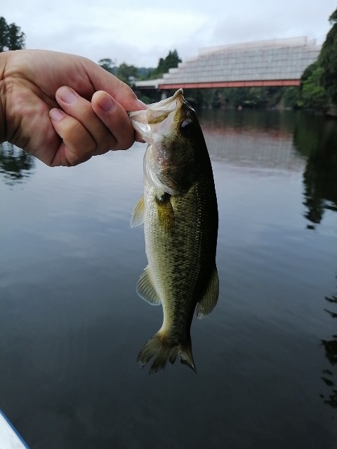 f:id:isybuss:20200917134808j:image